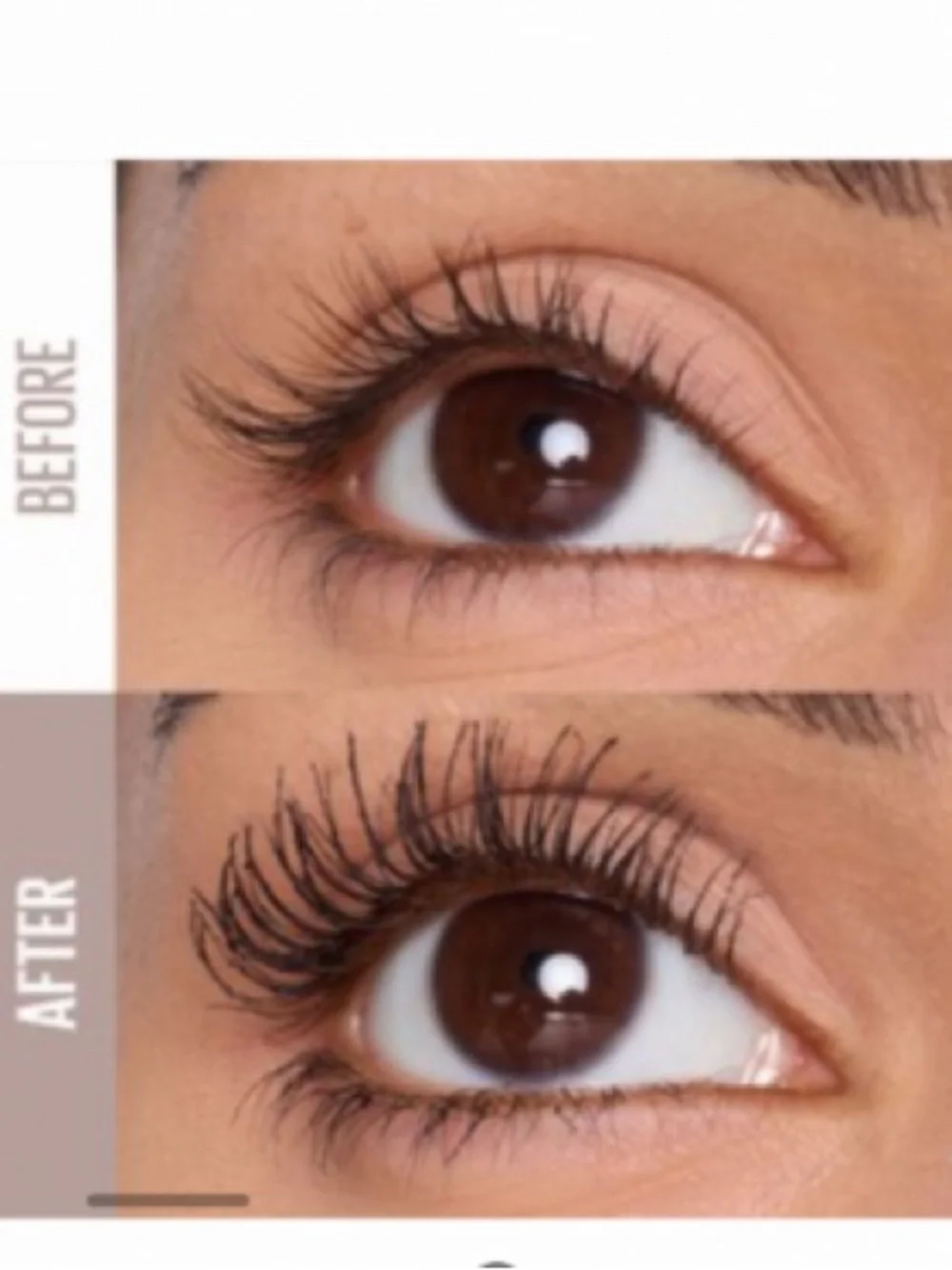 Maybelline Lash Sensational Mascara